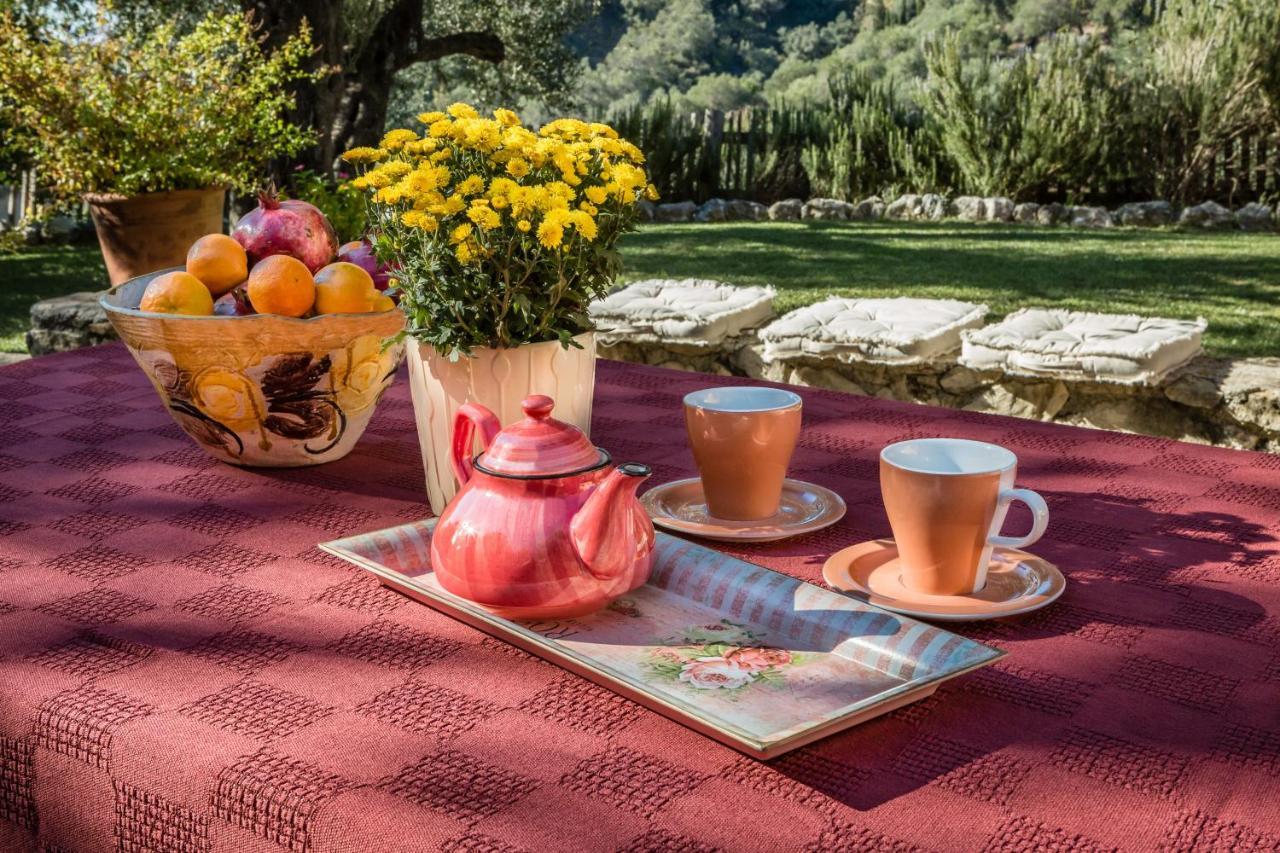 Mastrogiannis Villa Levanda Kavvadades Luaran gambar